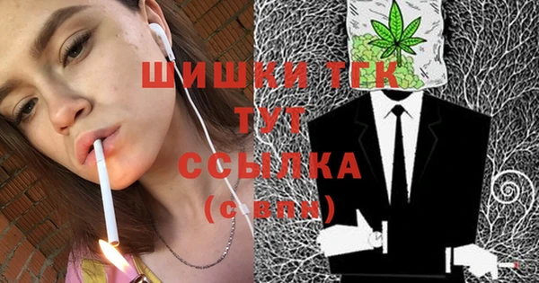 гашик Нея