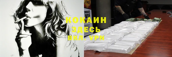 гашик Нея