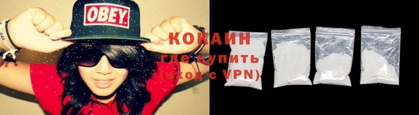 гашик Нея