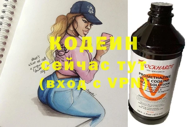 гашик Нея