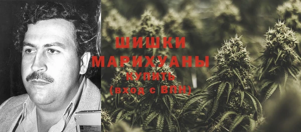 гашик Нея