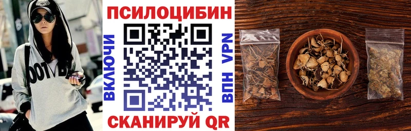 купить  сайты  Грозный  Галлюциногенные грибы GOLDEN TEACHER 