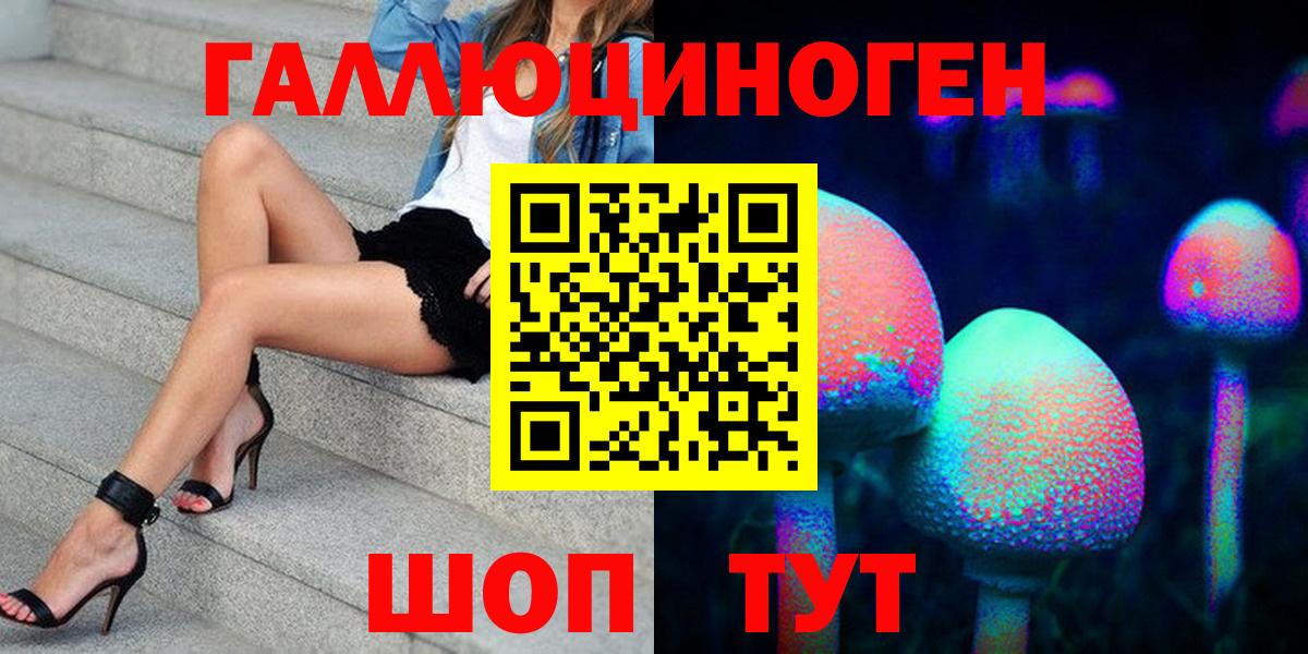 Галлюциногенные грибы Cubensis Грозный