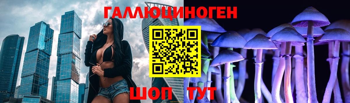 Псилоцибиновые грибы GOLDEN TEACHER  купить наркоту  Грозный 