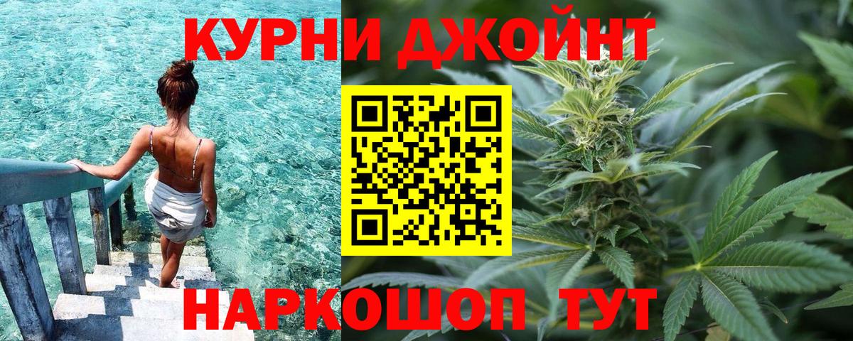 Конопля планчик Грозный